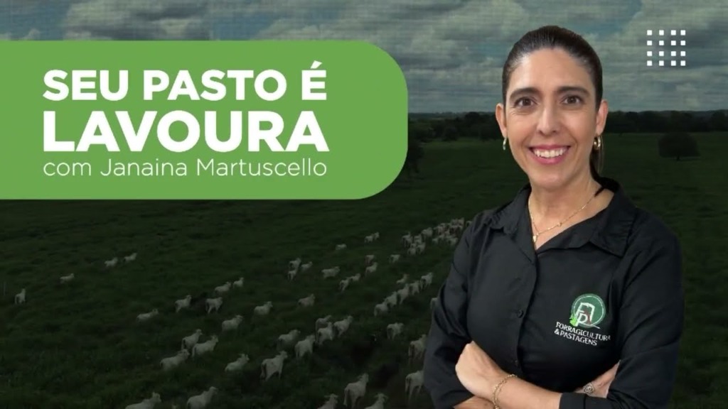 “Seu Pasto É Lavoura”: reunimos todos os 11 episódios da série. Confira