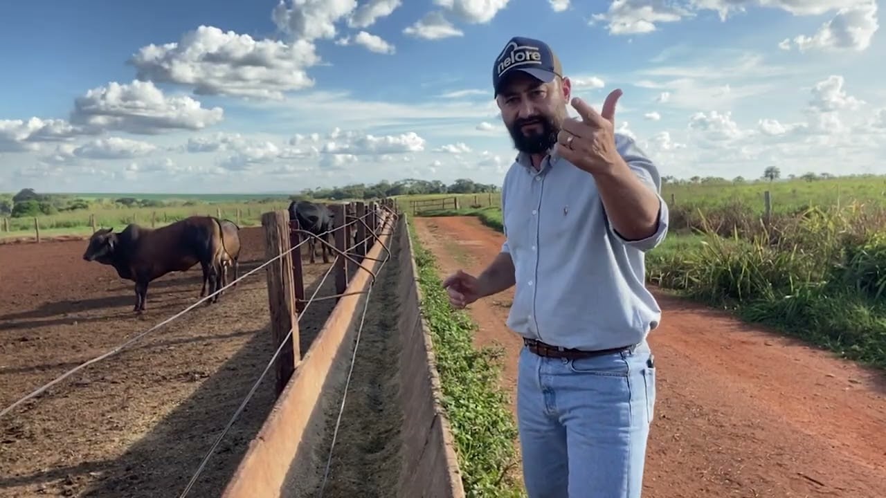 Leitura de cocho: confira dicas infalíveis para garantir lucro no confinamento