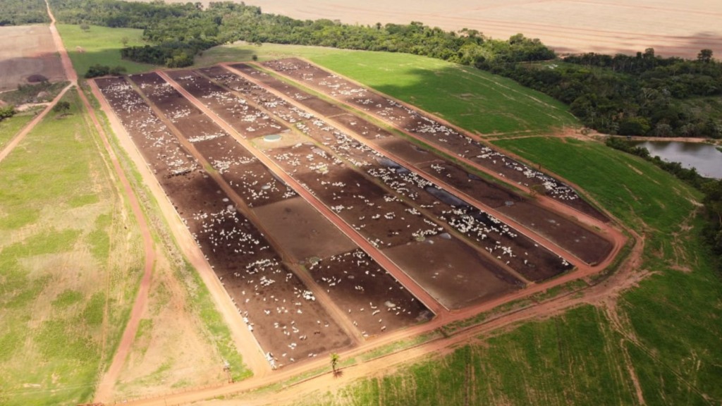 Vista aérea de área de confinamento. Foto: Divulgação