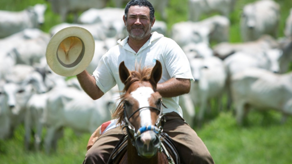 Peão a cavalo na fazenda. Foto: Wenderson Araujo/CNA