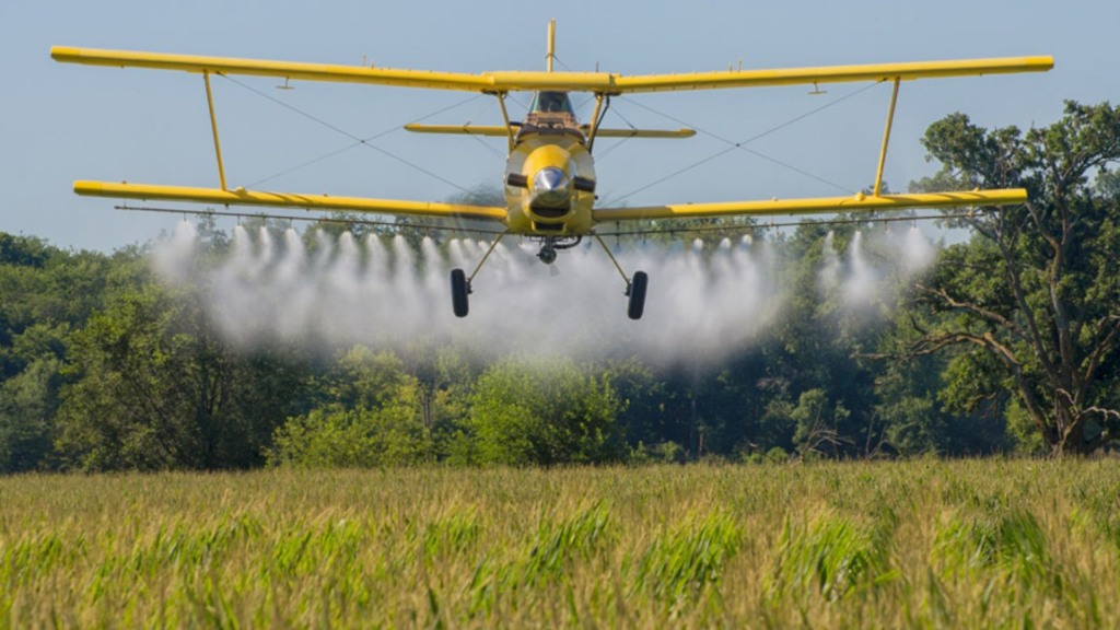 Cuidados com o pasto: confira as dicas fundamentais para o início das águas