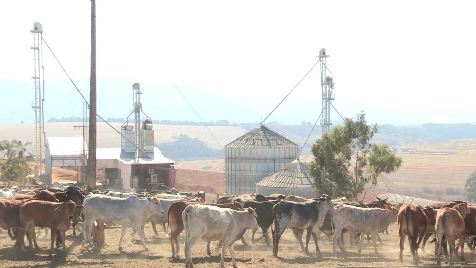 Conheça a fazenda nº 1 do Brasil em gestão que fatura R$ 6,4 mil/ha/ano