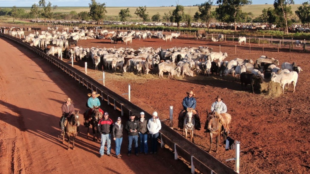 Treinamento de peões para aclimatação de bovinos na fazenda. Foto: Divulgação/MSD Saúde Animal