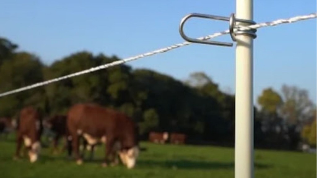 Cerca elétrica: o essencial para todas as fazendas. Descubra porquê