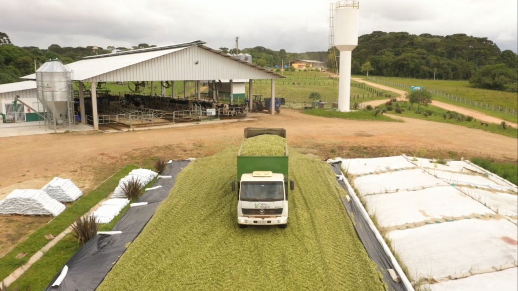 Check-list da fazenda antes de preparar a silagem do gado