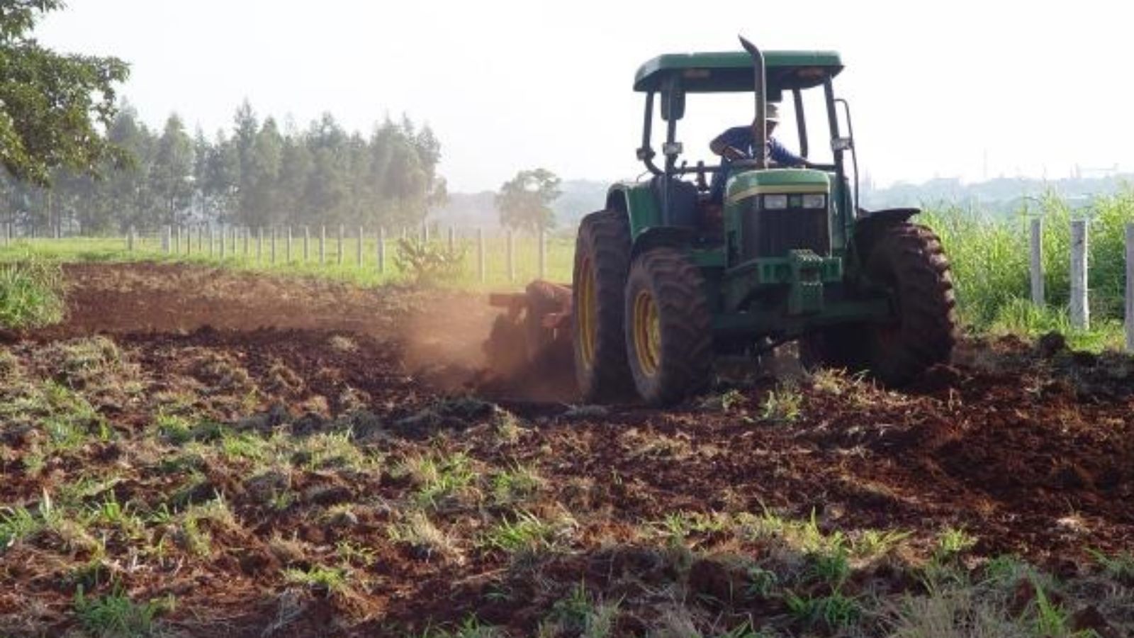 Fertilizante organomineral: como essa poderosa ferramenta impulsiona o crescimento do pasto