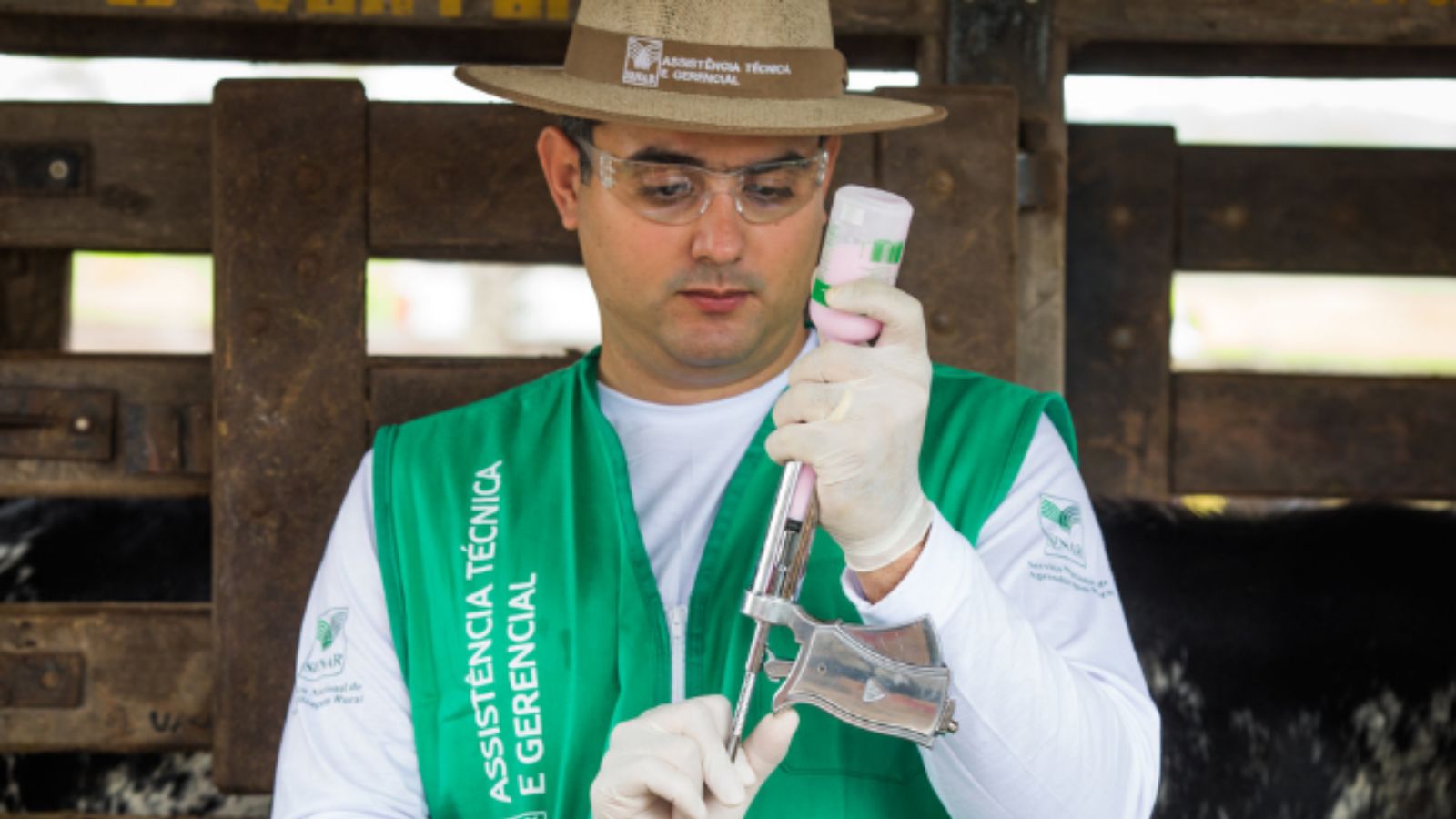 Médico-veterinário: conheça os esforços do profissional para garantir a saúde animal e a segurança alimentar