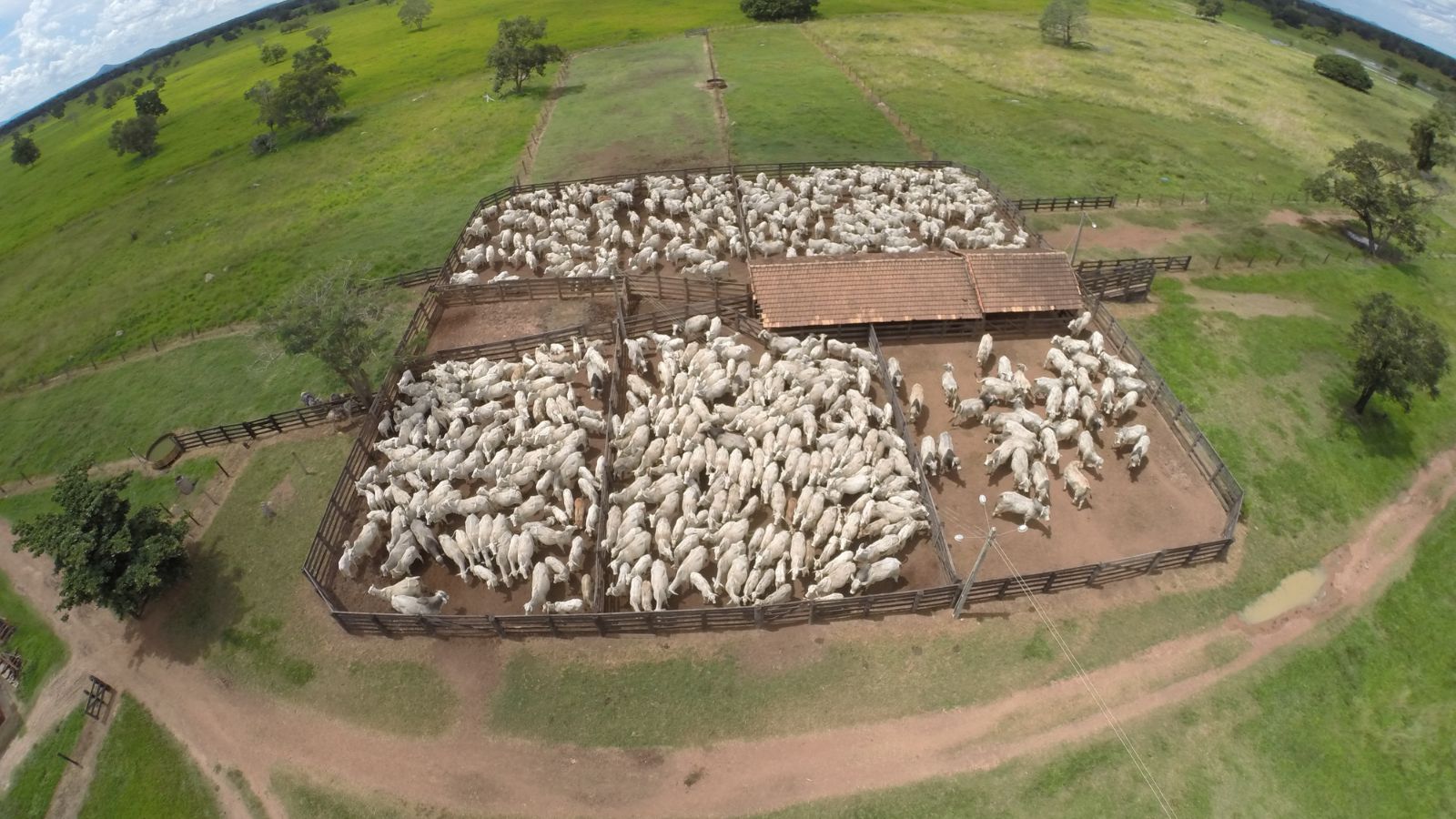 Alerta vermelho: o que os pecuaristas precisam saber sobre desapropriação de terras produtivas