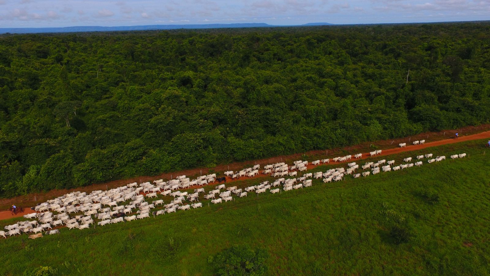 Fazenda Nota 10 revoluciona pecuária com inovadora medição de emissões nas propriedades