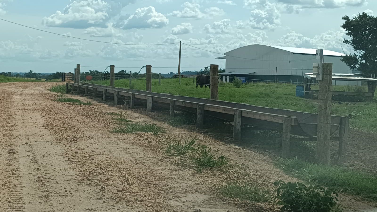 Pecuarista apresenta sua estrutura de semiconfinamento em Rondônia