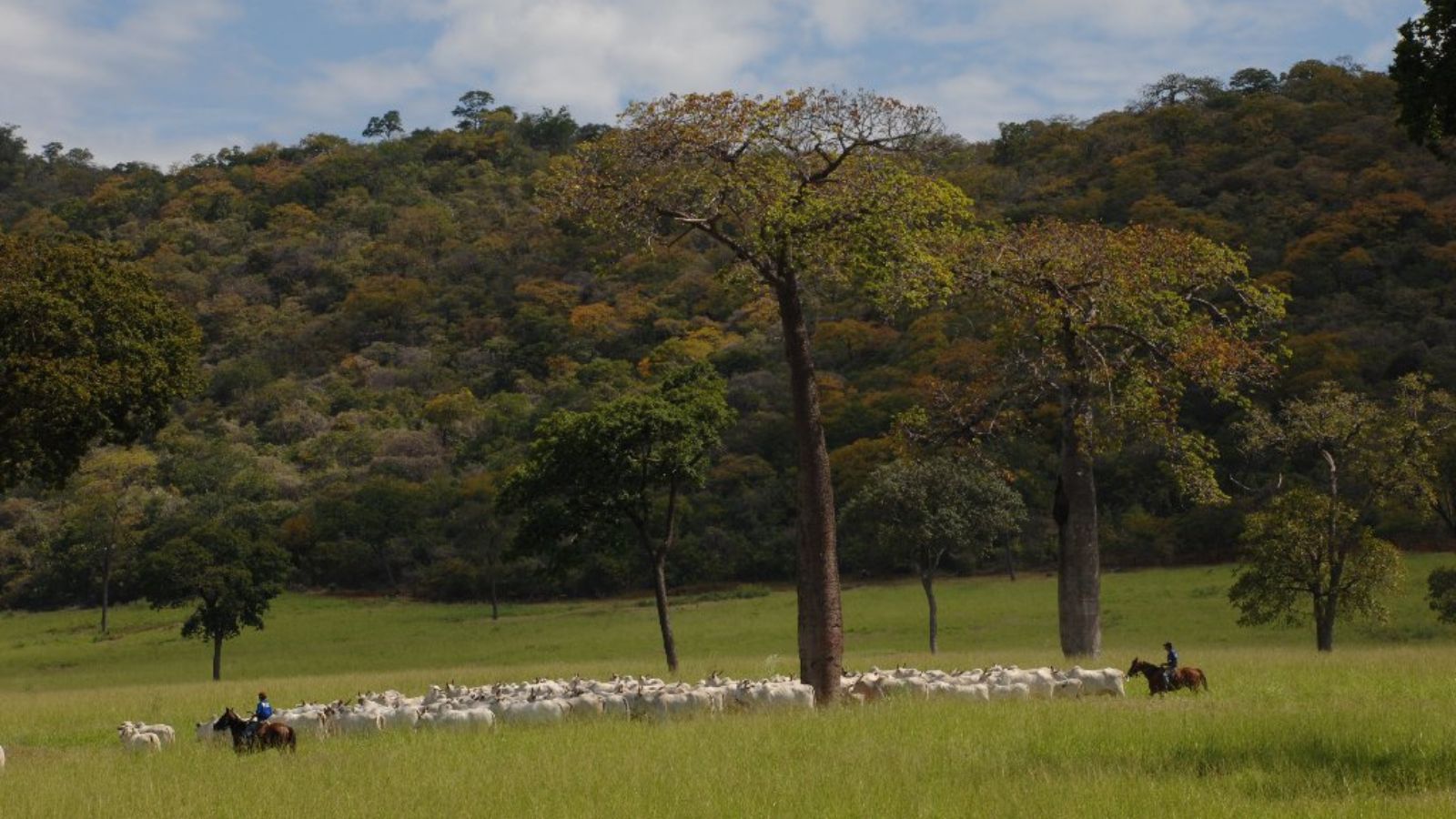 Escritórios Verdes: ferramenta completa dois anos, agora com 20 unidades no País!