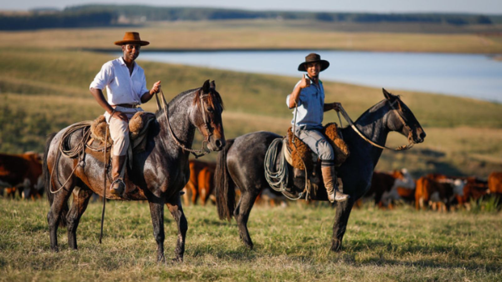 Protocolo 5.3.9: saiba como esses números transformam a gestão de pessoas na fazenda