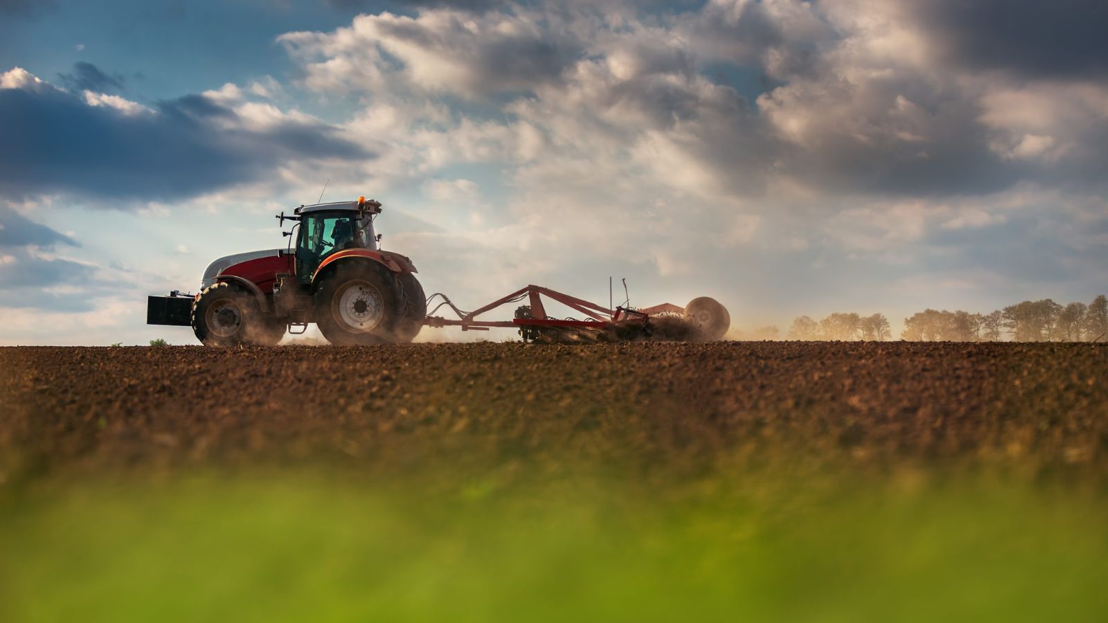 É hora de plantar o pasto! Conheças os truques para a escolha da semente ideal para sua fazenda