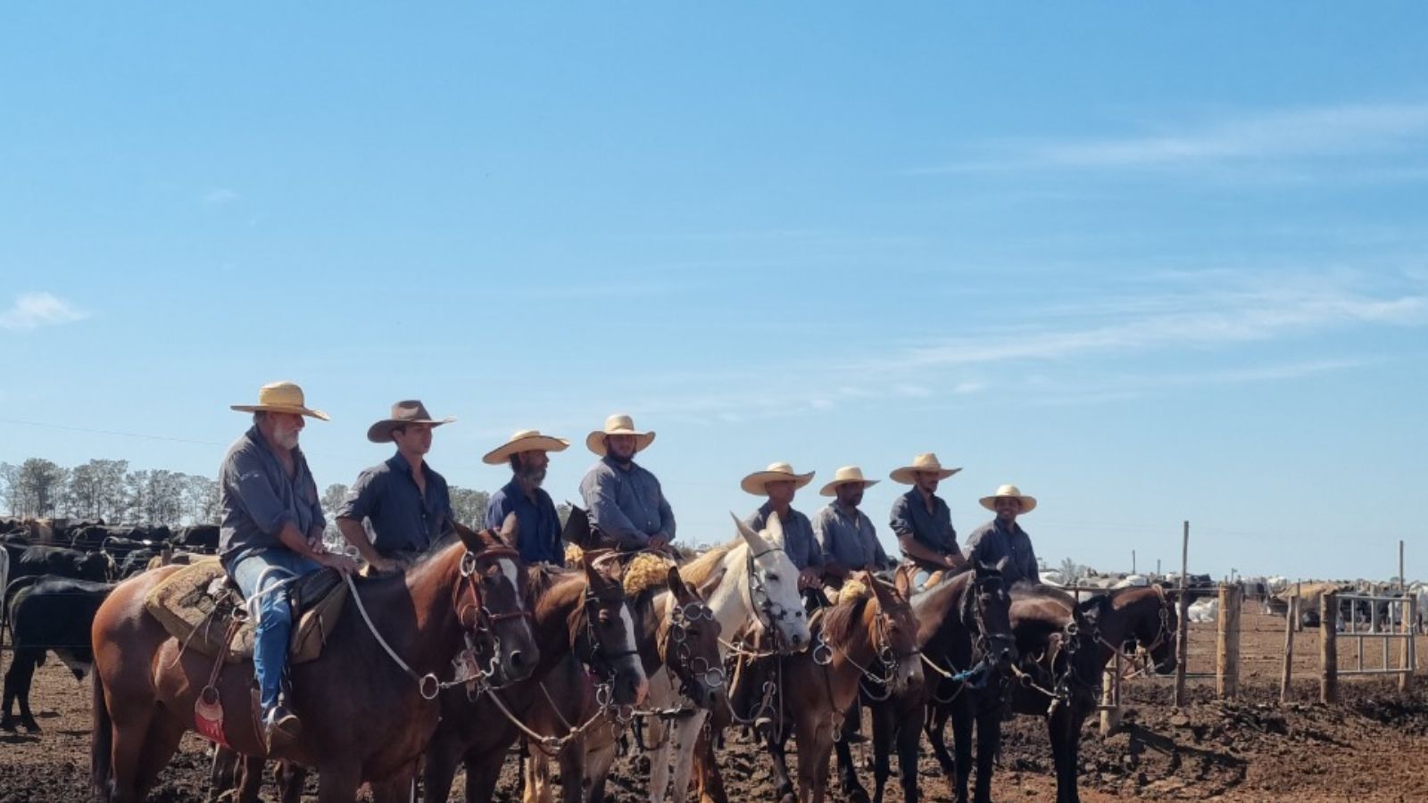 Agro brasileiro emprega 28,6 Milhões no campo e bate novo recorde