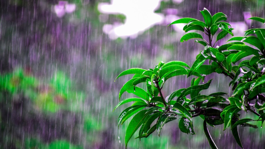 Chuvas volumosas marcam o clima no centro-norte do Brasil