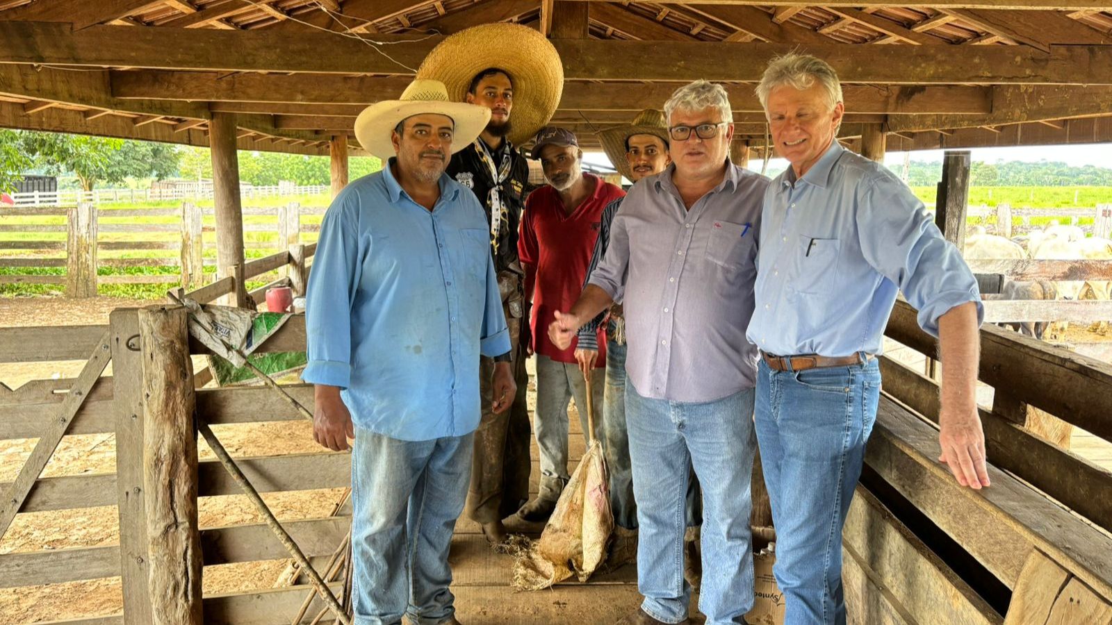 Gadão de celeiro de genética de ponta chega a 24@ no interior de Rondônia