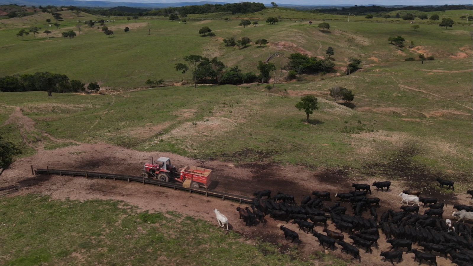 Checklist essencial: especialista lista os equipamentos que não podem faltar na sua fazenda