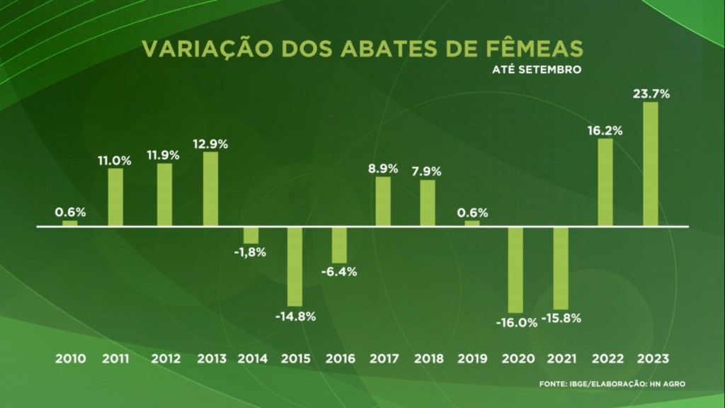 grafico HN Agro Abates de femeas 08.02.2024