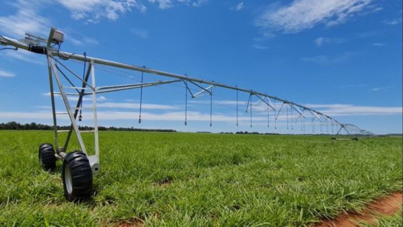 Bahia lidera irrigação no Brasil, superando Minas Gerais