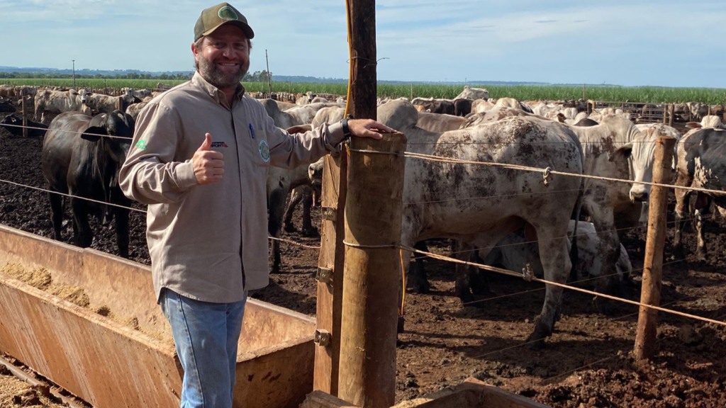 Cocho mineiro que dá muito gosto e boiada gorda! Pecuarista mostra seu sistema de produção