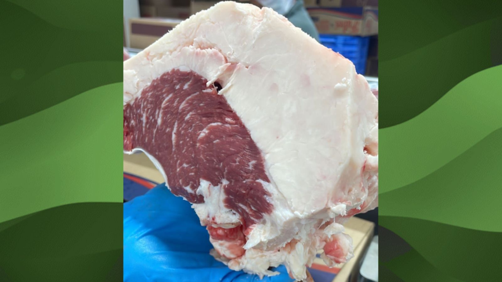 Controle do excesso de gordura na carne premium: aprendizados das fazendas brasileiras