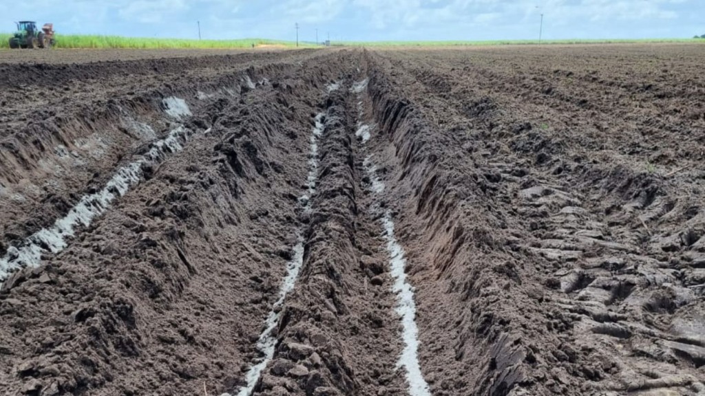 Pó de rocha: descubra como o fertilizante é uma alternativa viável para pastos e lavouras