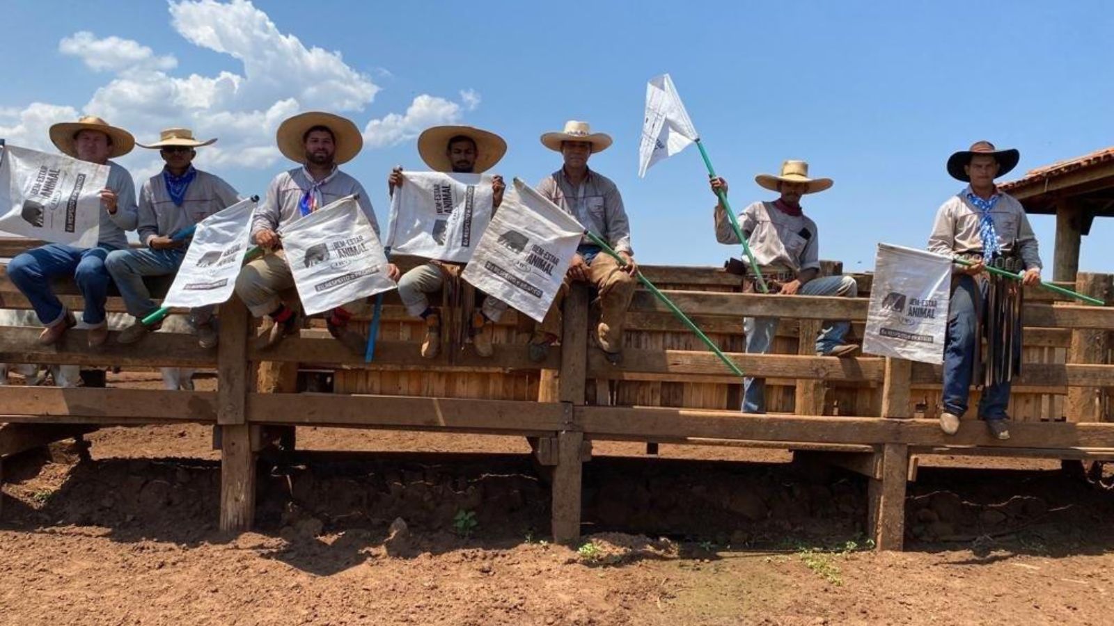 Bem-estar animal: entenda os impactos que as boas práticas trazem para as fazendas