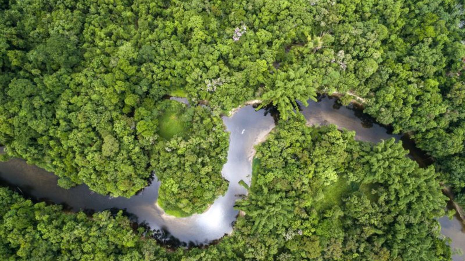 Escritórios Verdes: fazenda embargada pelo Ibama é regularizada em sete meses em Rondônia