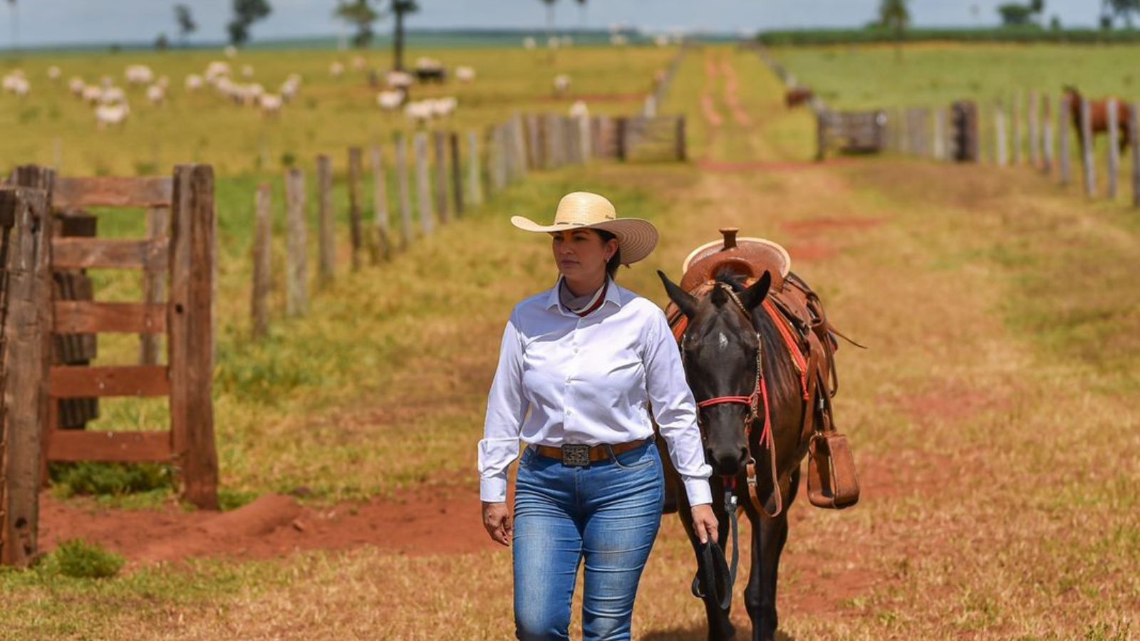 Edy Tarrafel: conheça a trajetória de uma das mulheres mais influentes do agro brasileiro