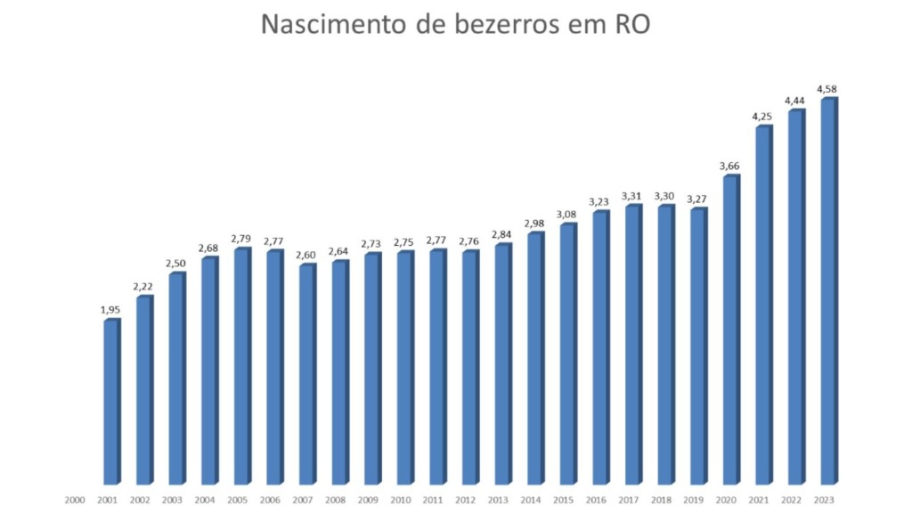 Pecuaria Rondonia 02.04.2024