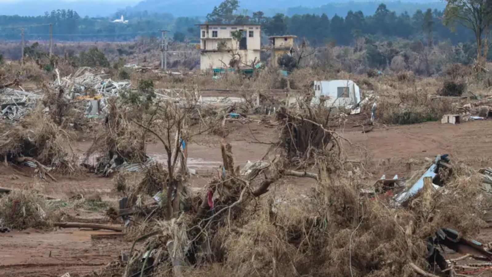 Enchentes, incêndios e queda de preços dos alimentos: advogado explica como negociar com bancos