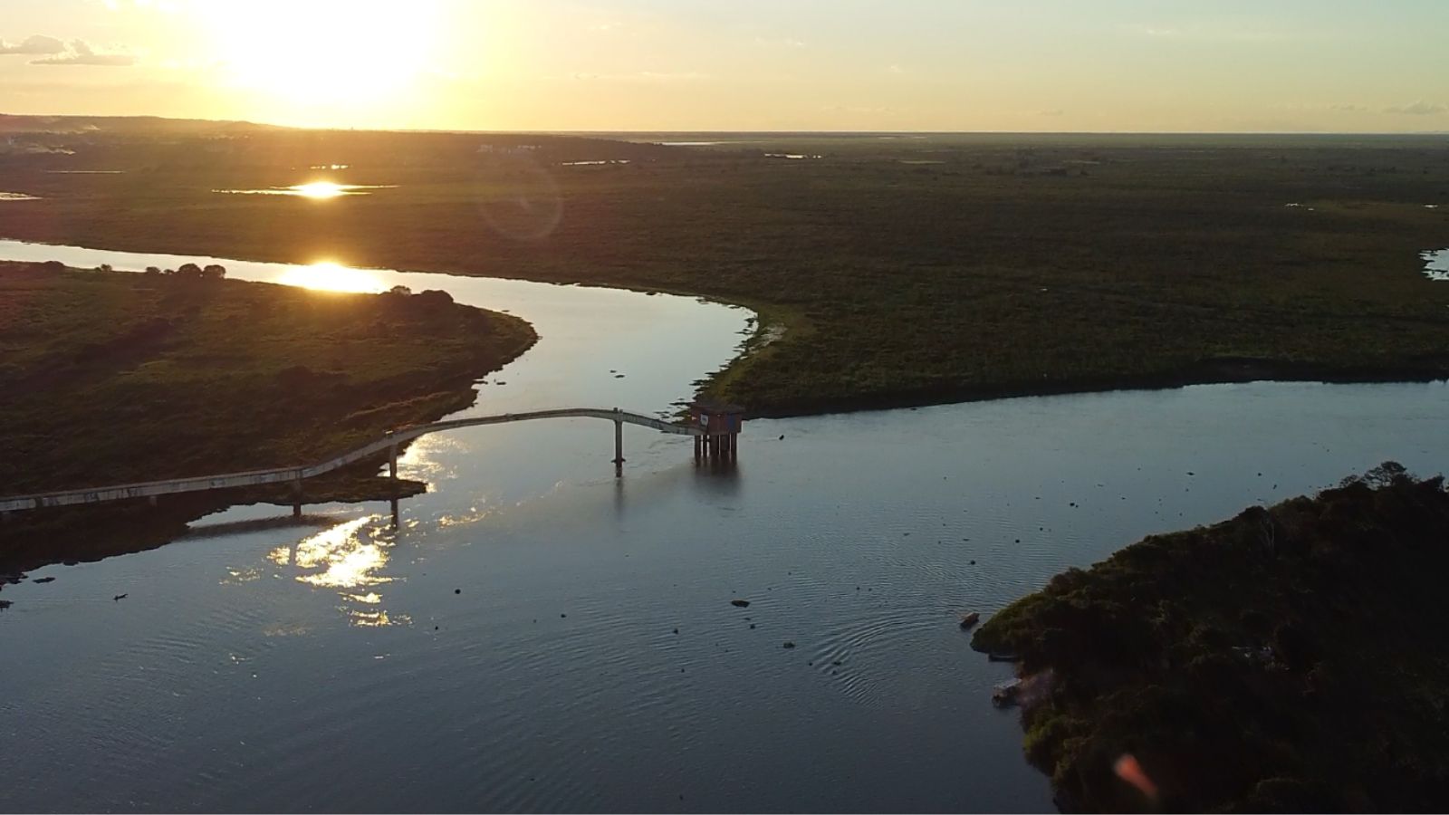 Pantanal: como o ciclo das águas transforma a pecuária local