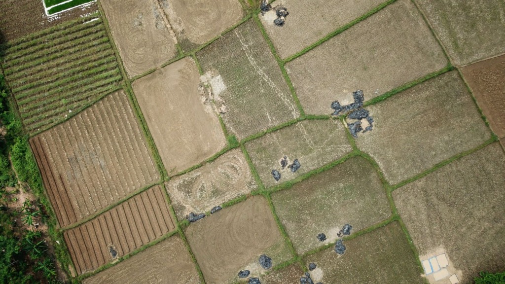 Fazenda em área de fronteira? Entenda as regras e documentação para regularizar a propriedade