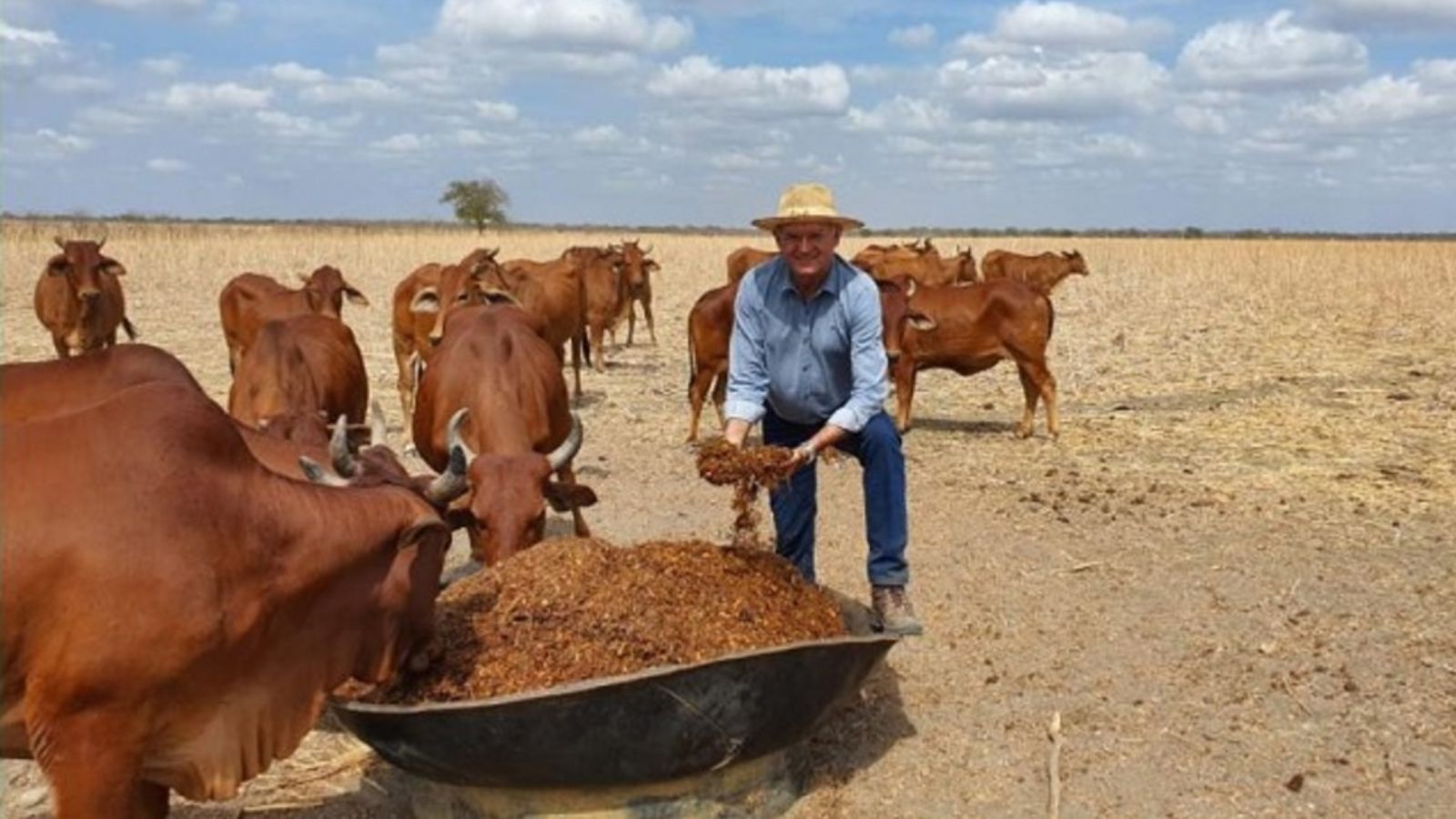 Criador compra fazenda em brincadeira de bar e torna-se referência com a raça Sindi no RN