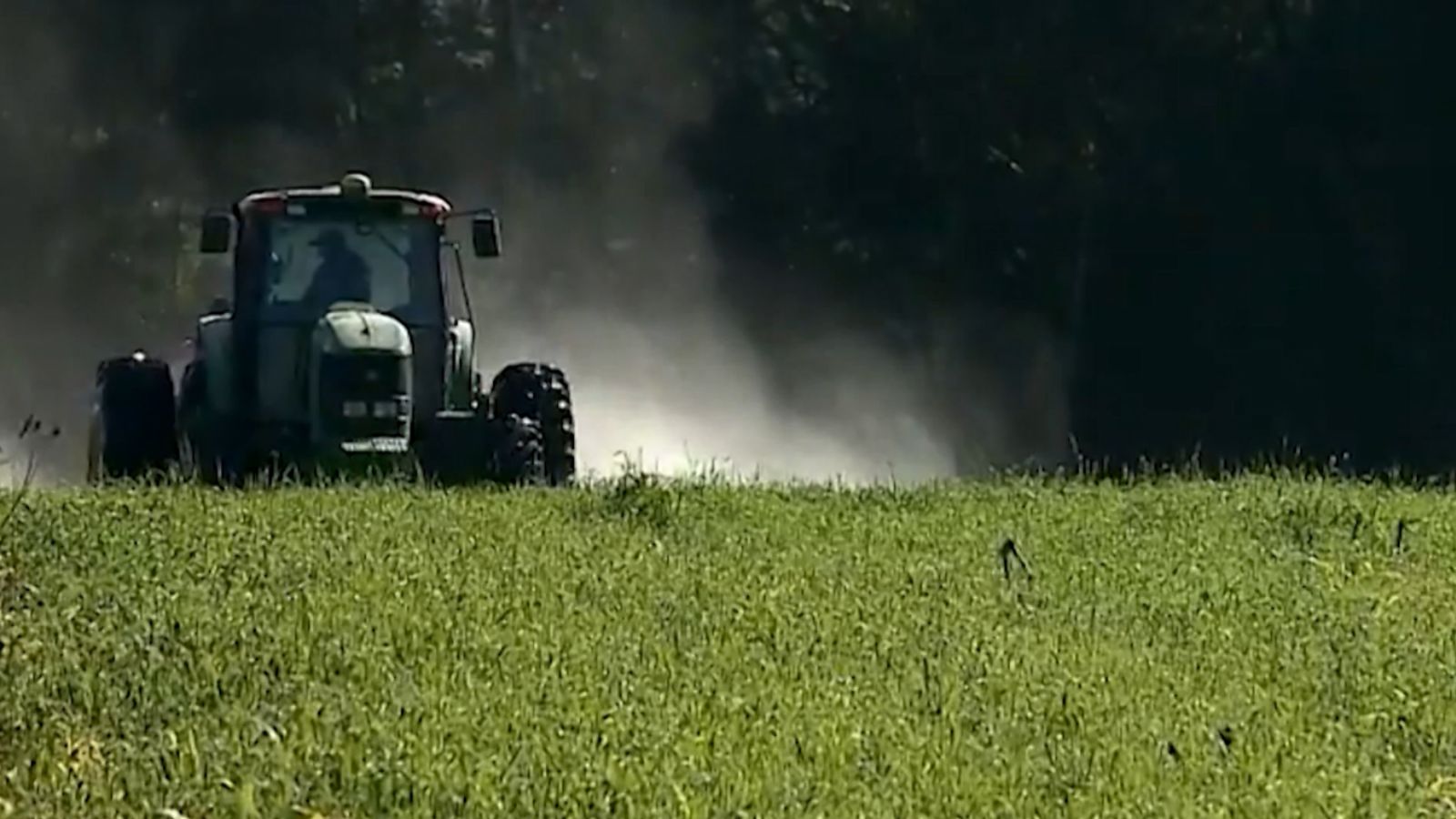 Adubação de pasto: confiras as melhores dicas de manejo para o inverno baiano