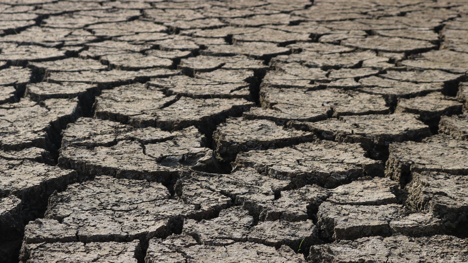 A espera por chuvas consistentes continua enquanto temperaturas extremas persistem em grandes áreas