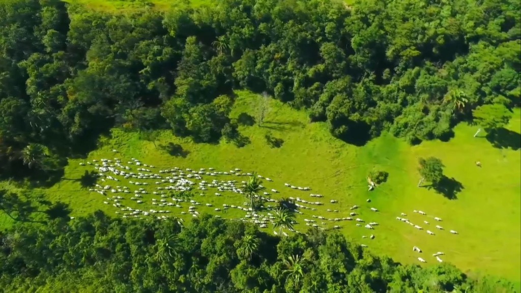 Escritórios Verdes 2.0: JBS amplia programa para atender mais pecuaristas