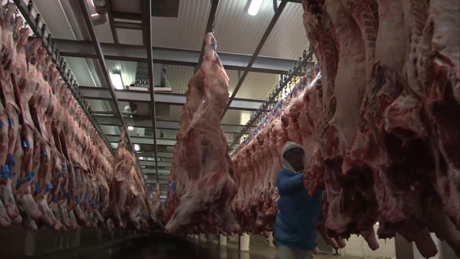 Com Trump, EUA podem limitar compra de carnes, sucos e siderúrgicos do Brasil, diz FGV/Icomex