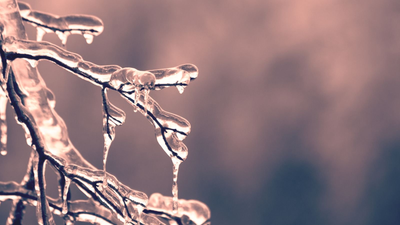 Frente fria traz queda de temperatura e risco de geada em pastos no Sul do Brasil