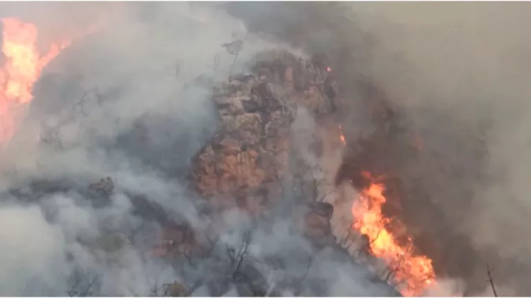 Famasul repudia declarações sobre propagação do fogo no Pantanal