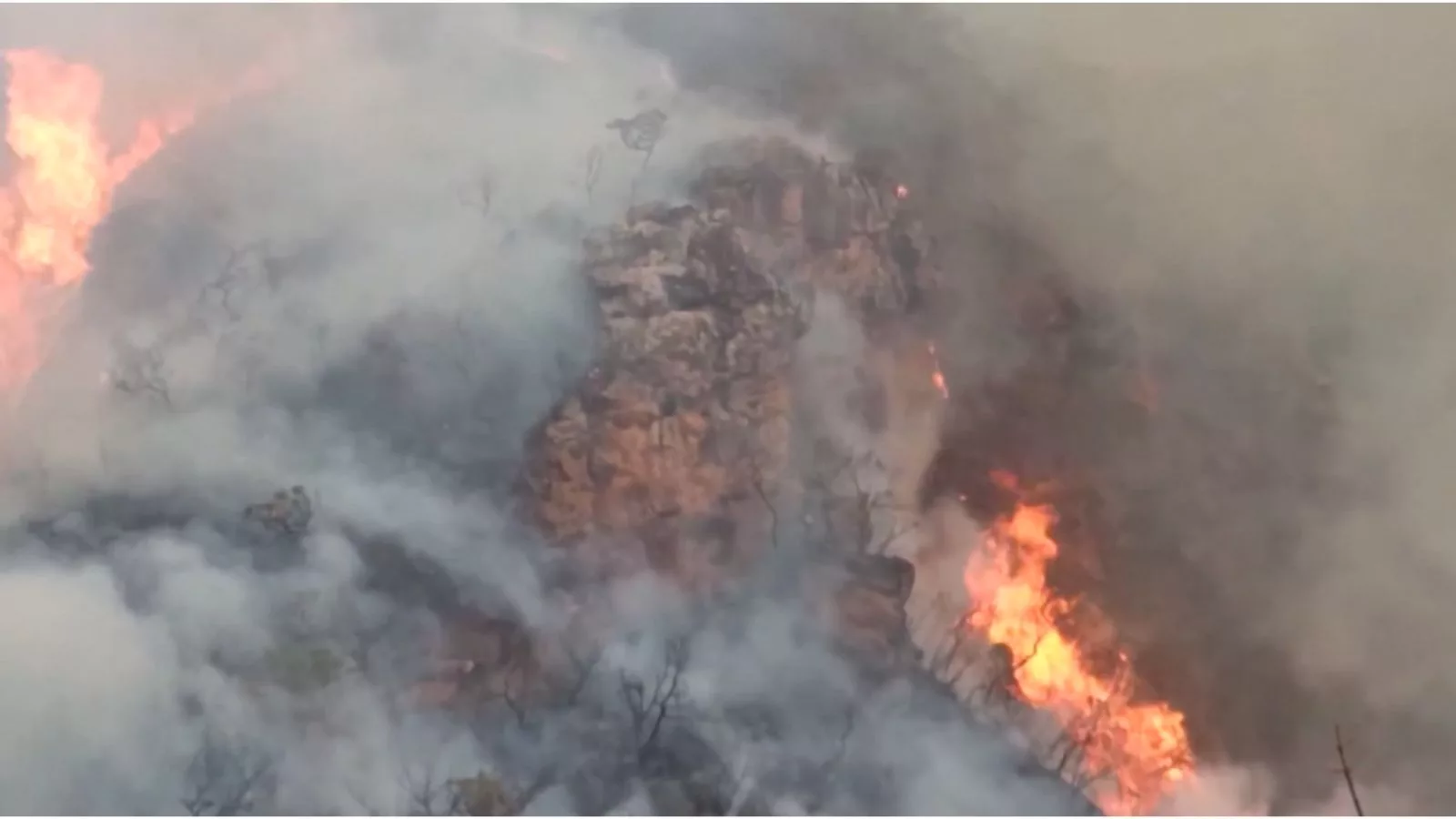 Famasul repudia declarações sobre propagação do fogo no Pantanal