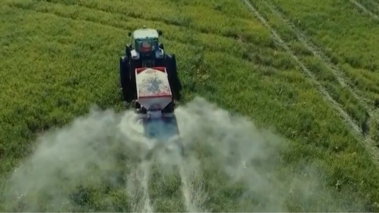 Calagem e gessagem: os segredos para pastos mais produtivos e capim de alta qualidade