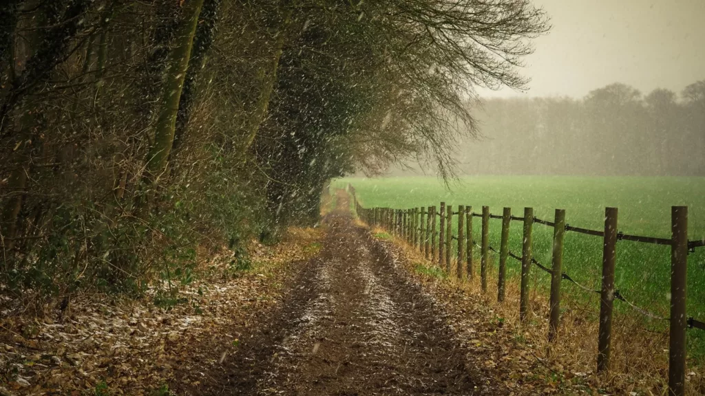 Previsão estendida: fim do ano tem chuva moderada e variação térmica. Saiba mais