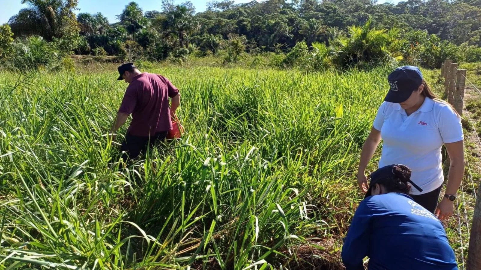 Agora programa ajuda pecuarista a recuperar solos e pastagens