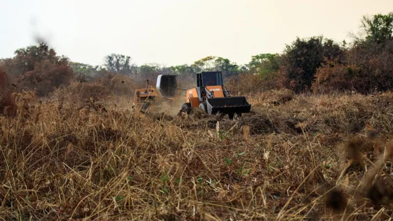 Construção de aceiros de até 50 metros no Pantanal em Mato Grosso conta com novas regras