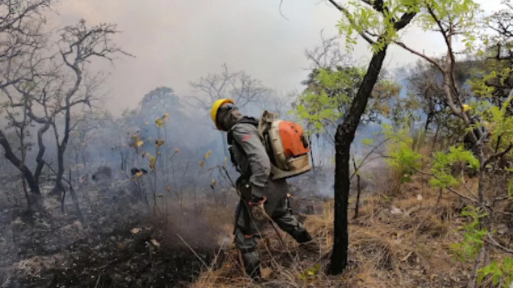 Risco de incêndios: calor extremo e seca ameaçam Centro-Oeste e outras regiões