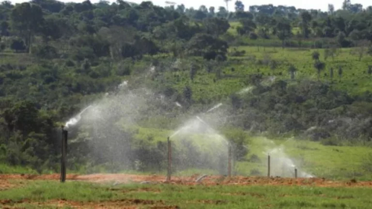 Irrigação do pasto pode ajudar o pecuarista a “colher” até 100@ por hectare por ano