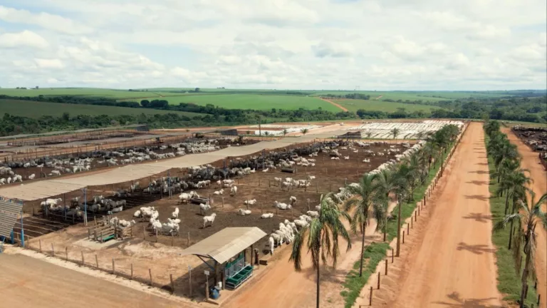 São Paulo volta a liderar exportações com produção diversificada e eficiência recorde