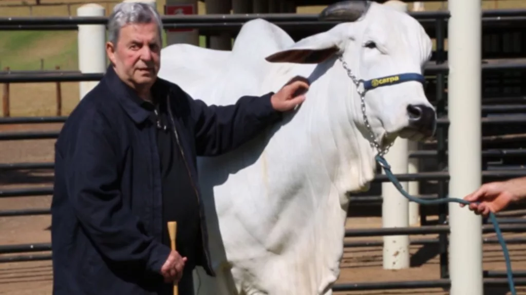 Duda Biagi, dono da Carpa Serrana, com um exemplar de genética bovina da fazenda. Foto: Reprodução