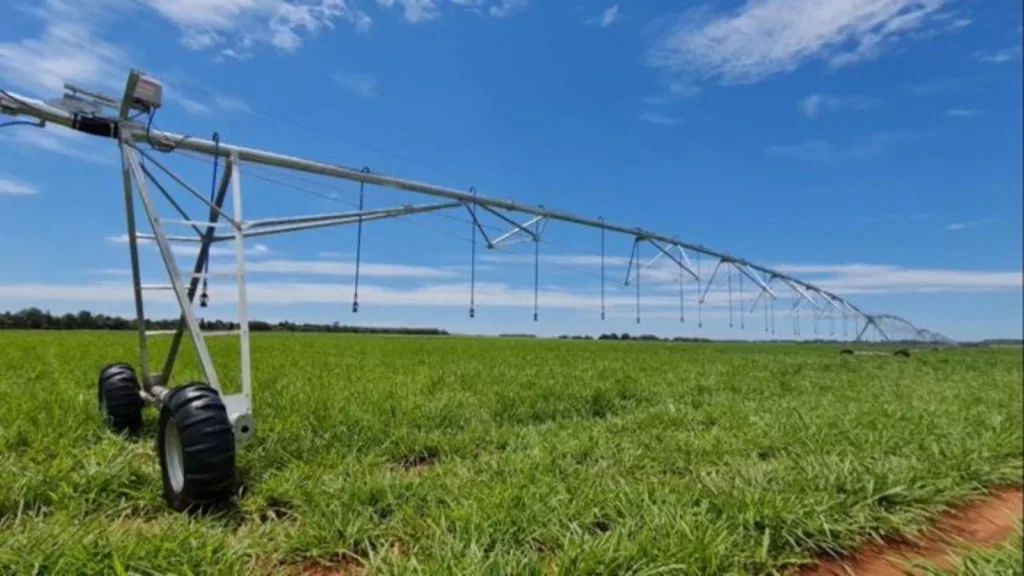 Pasto como lavoura: o segredo dos pecuaristas de sucesso para aumentar a produtividade